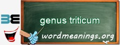 WordMeaning blackboard for genus triticum